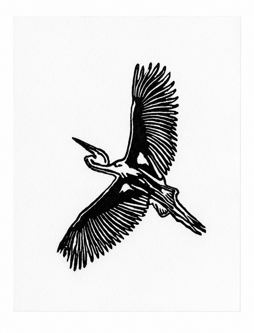 Flying Heron
