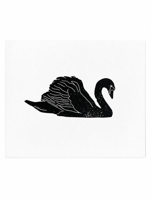 Black Swan