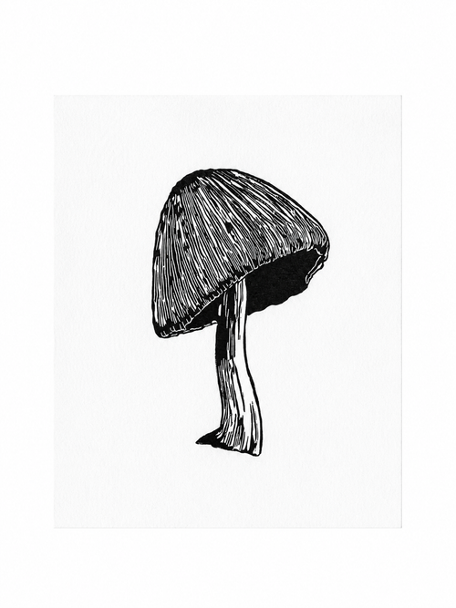 Mushroom
